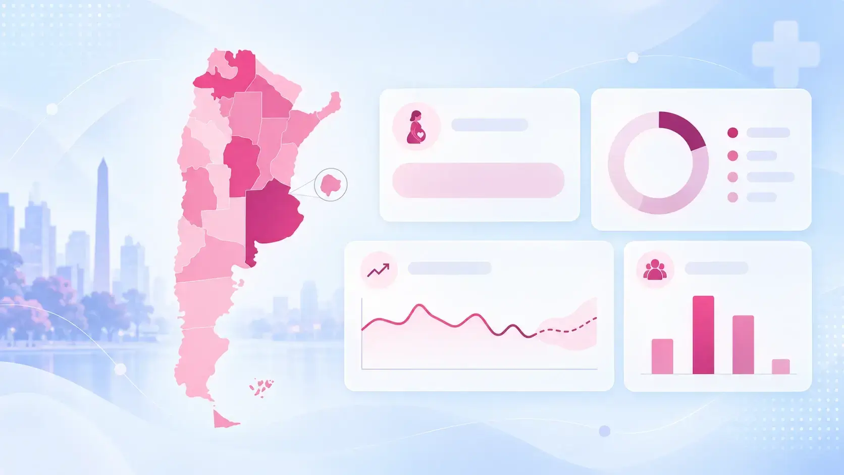 Maternal Mortality Rate in Argentina project visual