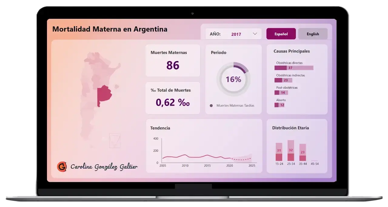 Maternal Mortality Rate in Argentina gallery image 1