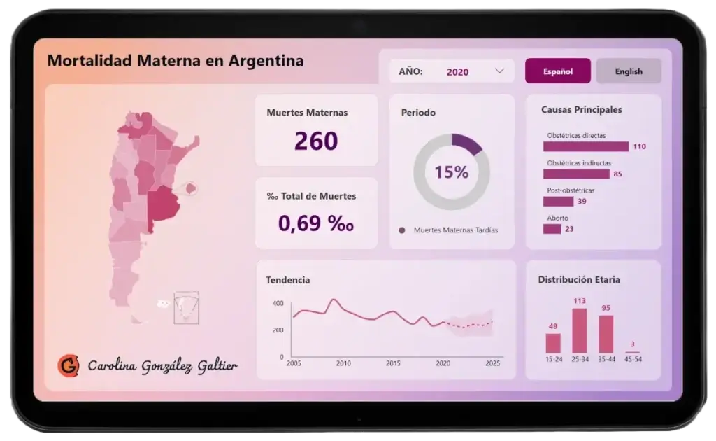 Maternal Mortality Rate in Argentina gallery image 2
